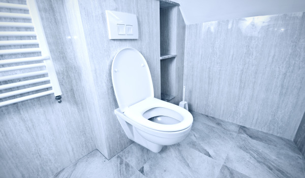 Кой стелаж за вграждане за WC да изберем?