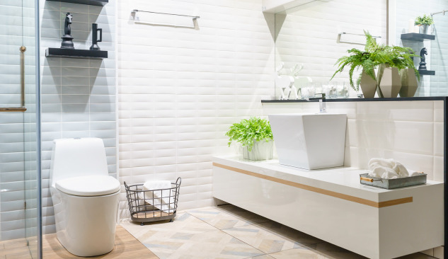 Тоалетна чиния - по-добре е да е стояща или висяща?