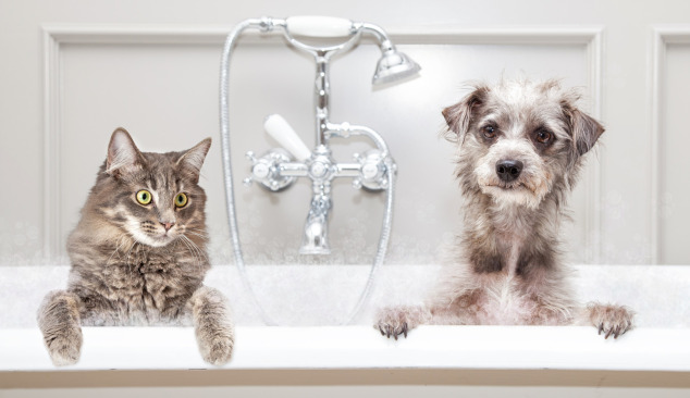 Избор на вана-душ батерия - от къде да започнем?