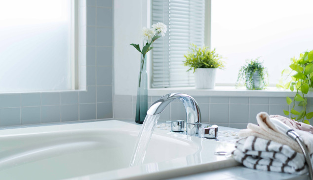 На какво да обърнете внимание при покупката на вана?