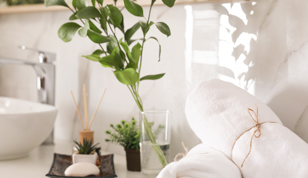 Какви растения могат да бъдат поставени в банята?