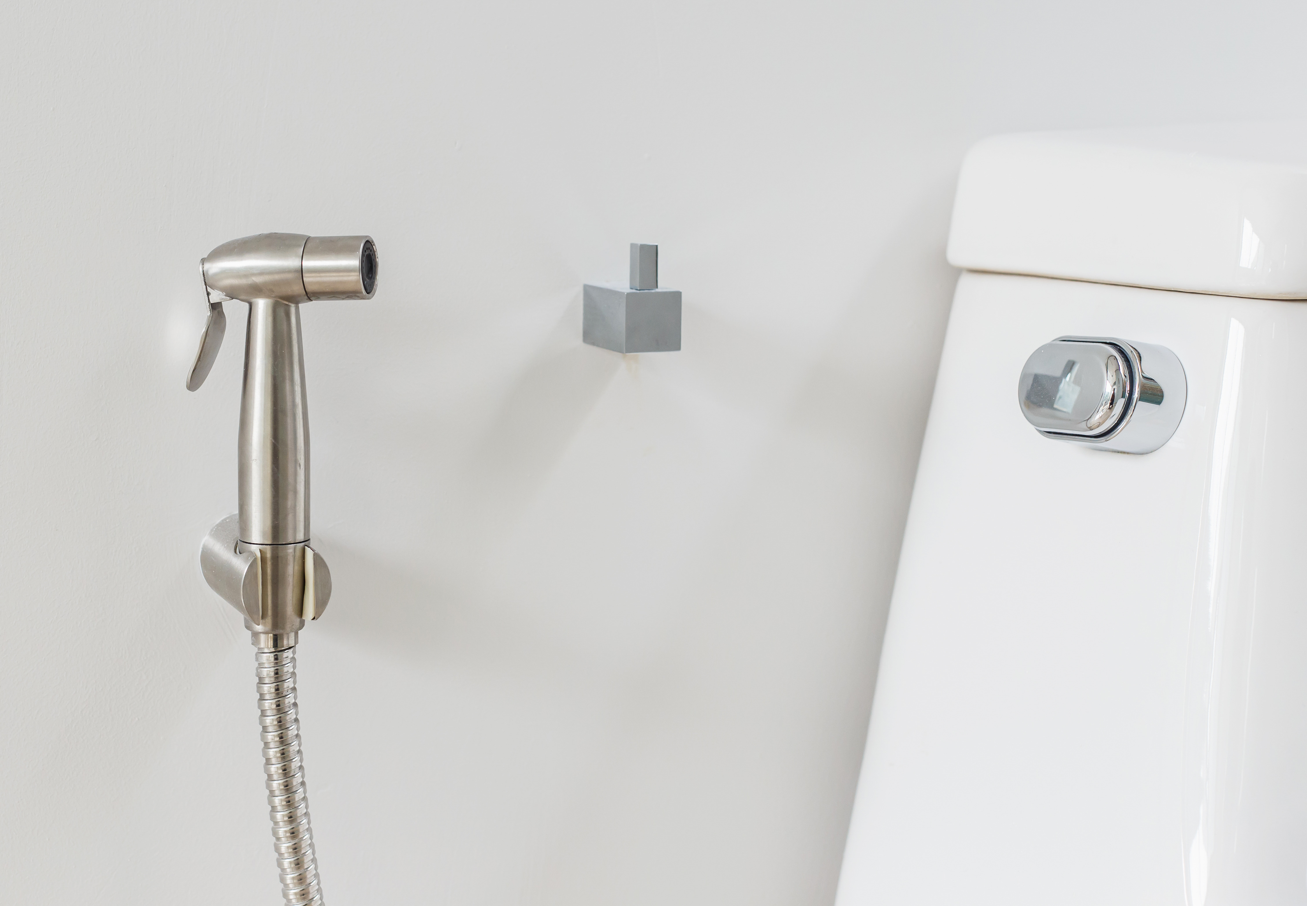 Как да изберем bidet ръкохватка?
